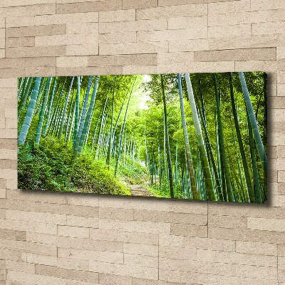 Foto quadro su tela Foresta di bambù