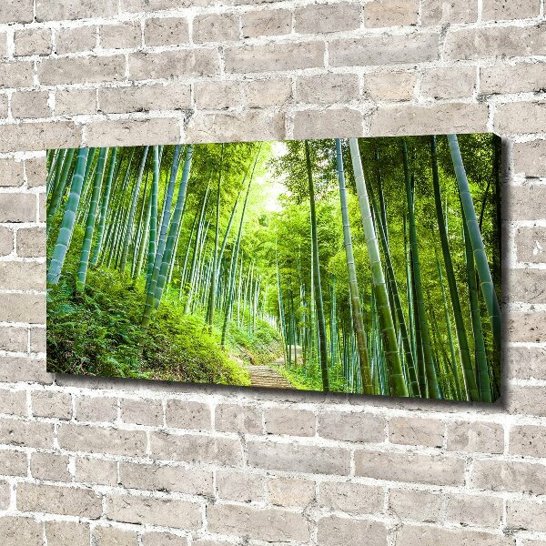 Foto quadro su tela Foresta di bambù