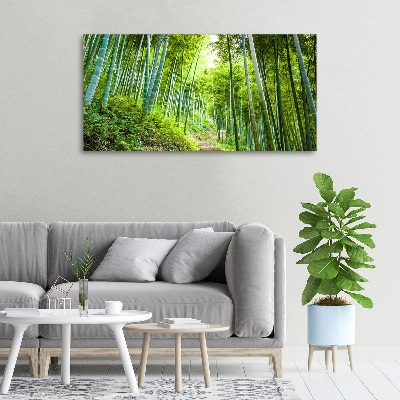 Foto quadro su tela Foresta di bambù