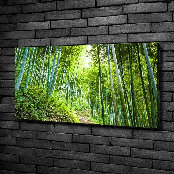 Foto quadro su tela Foresta di bambù