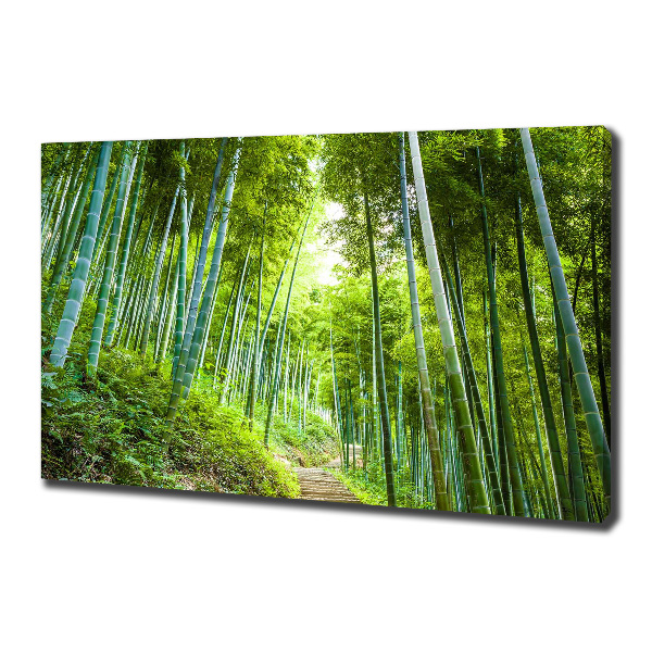 Foto quadro su tela Foresta di bambù