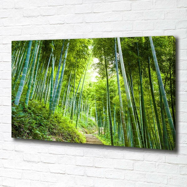Foto quadro su tela Foresta di bambù