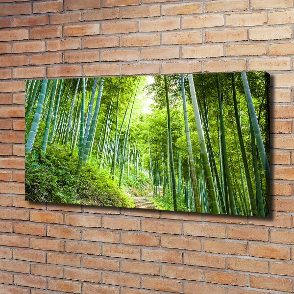 Foto quadro su tela Foresta di bambù