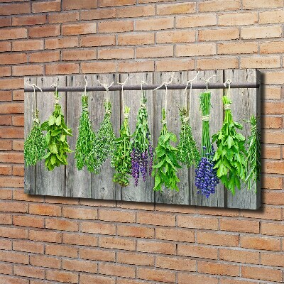 Quadro stampa su tela Erbe aromatiche su un filo