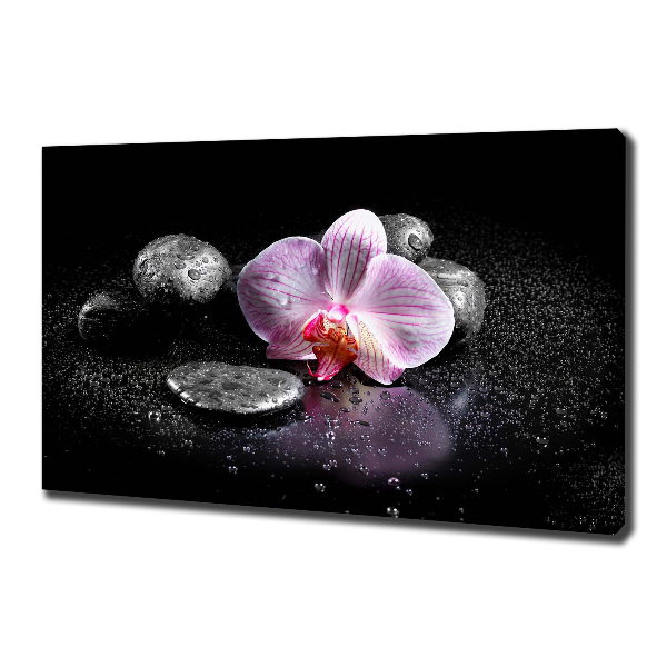 Foto quadro su tela Orchidea