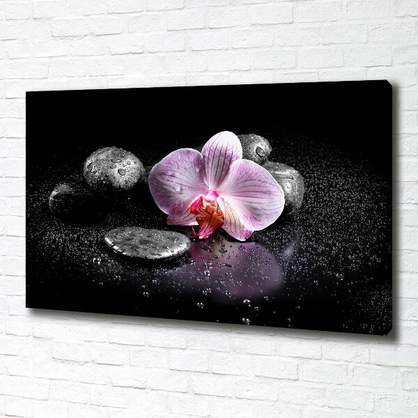 Foto quadro su tela Orchidea