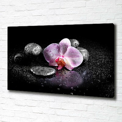 Foto quadro su tela Orchidea