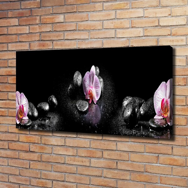 Foto quadro su tela Orchidea