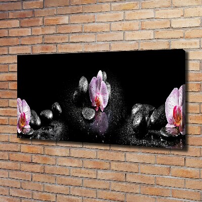 Foto quadro su tela Orchidea