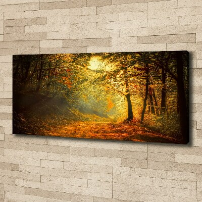 Foto quadro su tela Foresta in autunno