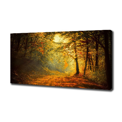 Foto quadro su tela Foresta in autunno