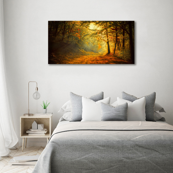 Foto quadro su tela Foresta in autunno