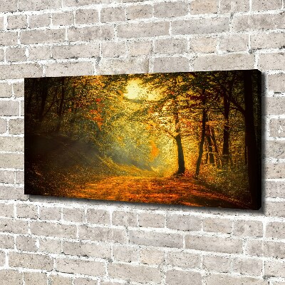 Foto quadro su tela Foresta in autunno