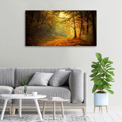 Foto quadro su tela Foresta in autunno