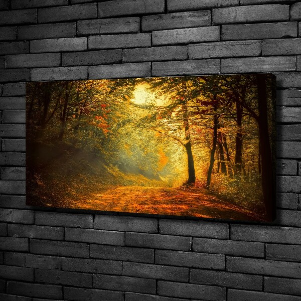 Foto quadro su tela Foresta in autunno
