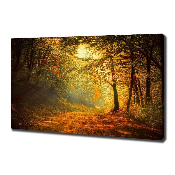 Foto quadro su tela Foresta in autunno