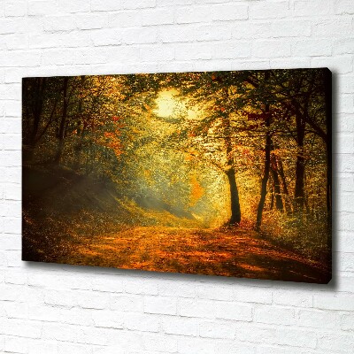 Foto quadro su tela Foresta in autunno