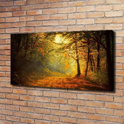 Foto quadro su tela Foresta in autunno