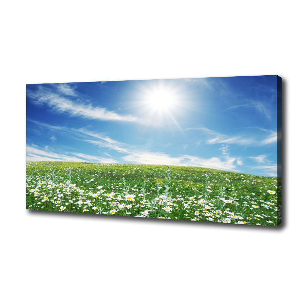 Quadro stampa su tela Prato