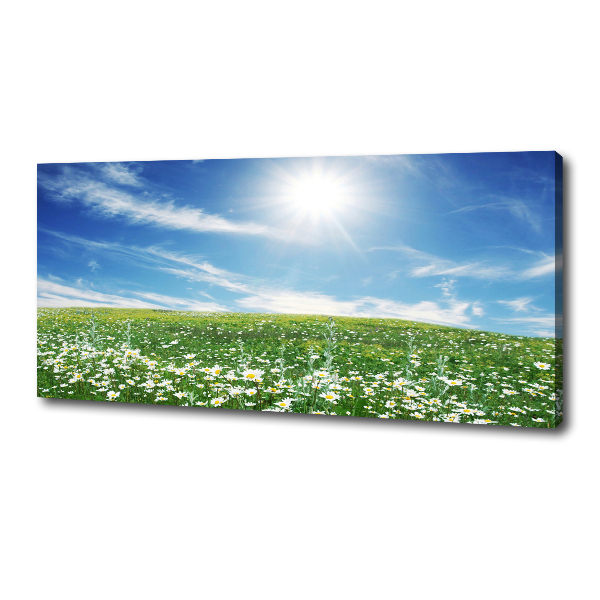 Quadro stampa su tela Prato