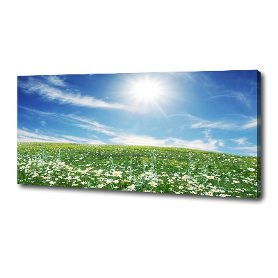 Quadro stampa su tela Prato