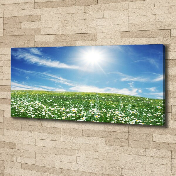 Quadro stampa su tela Prato