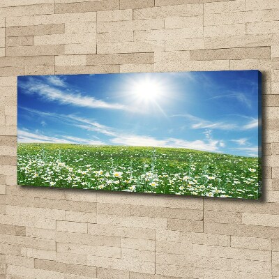 Quadro stampa su tela Prato