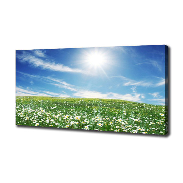 Quadro stampa su tela Prato