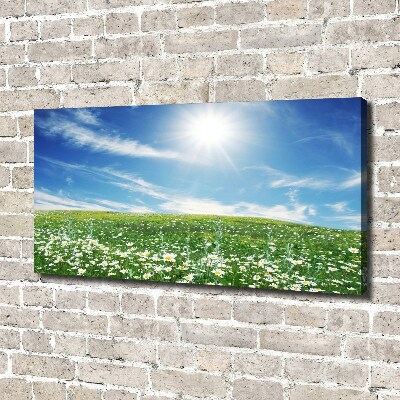 Quadro stampa su tela Prato