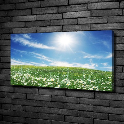 Quadro stampa su tela Prato