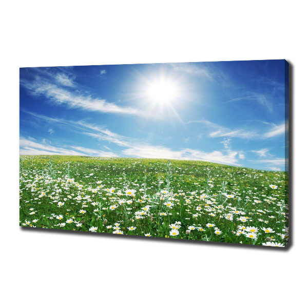 Quadro stampa su tela Prato