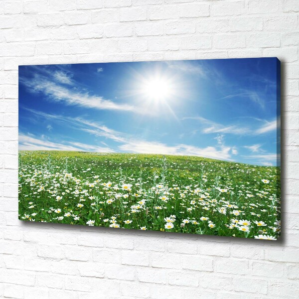 Quadro stampa su tela Prato