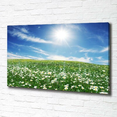 Quadro stampa su tela Prato