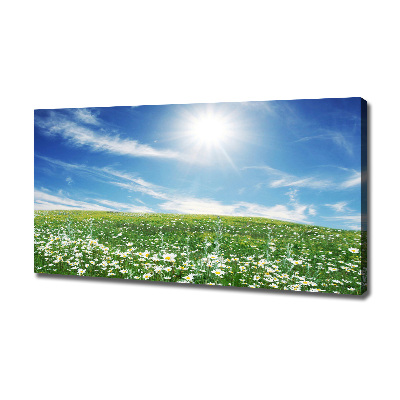 Quadro stampa su tela Prato