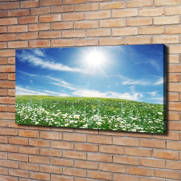 Quadro stampa su tela Prato