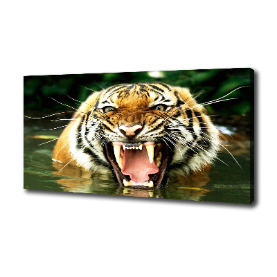 Foto quadro su tela Tigre ruggente