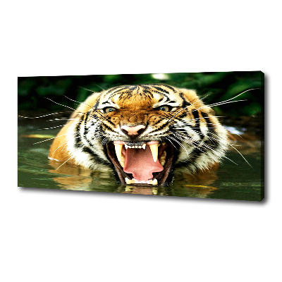 Foto quadro su tela Tigre ruggente