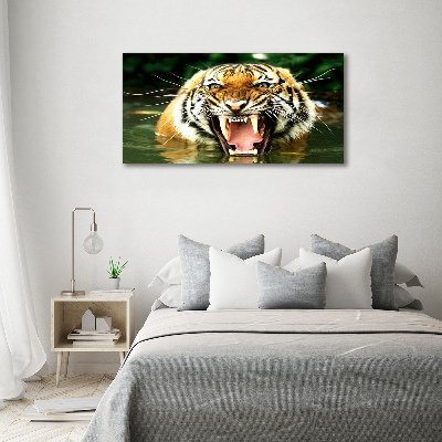Foto quadro su tela Tigre ruggente