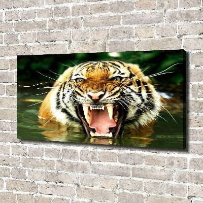 Foto quadro su tela Tigre ruggente