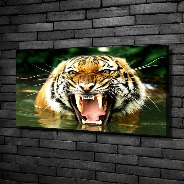 Foto quadro su tela Tigre ruggente