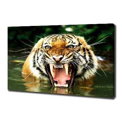 Foto quadro su tela Tigre ruggente