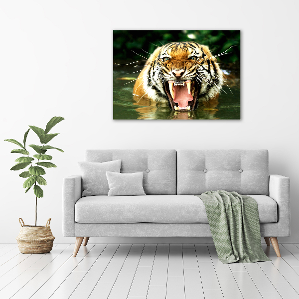 Foto quadro su tela Tigre ruggente