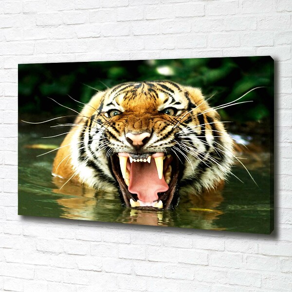 Foto quadro su tela Tigre ruggente