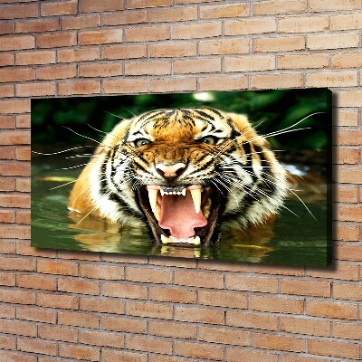 Foto quadro su tela Tigre ruggente