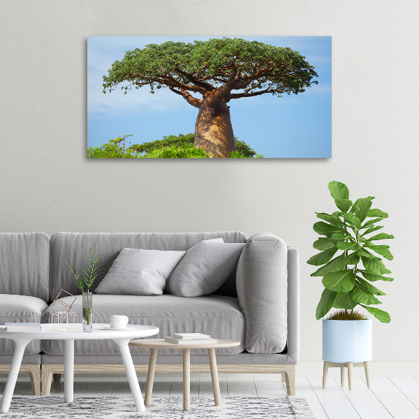 Quadro stampa su tela Baobab
