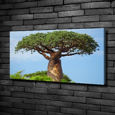Quadro stampa su tela Baobab