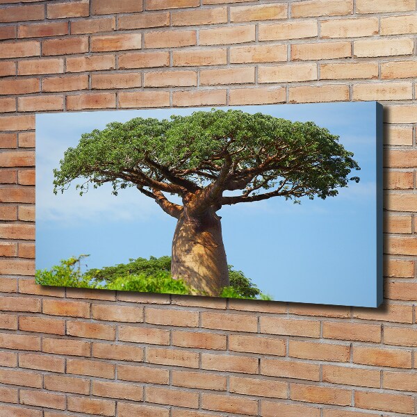 Quadro stampa su tela Baobab