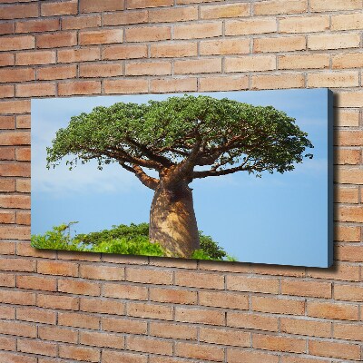 Quadro stampa su tela Baobab