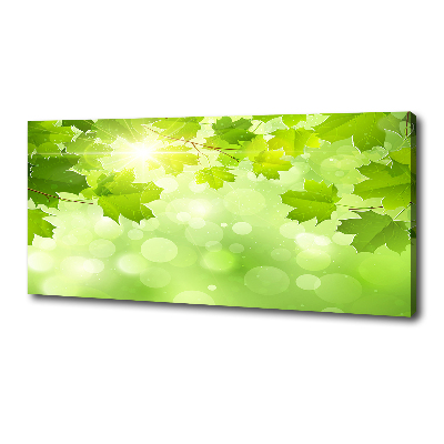 Quadro su tela Foglie di ippocastano