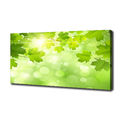 Quadro su tela Foglie di ippocastano